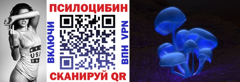 MEGA   нарко площадка как зайти  Болохово  Псилоцибиновые грибы Magic Shrooms  как найти наркотики 